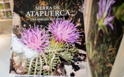 La Fundació Caixa de Burgos inaugura l’exposició “Sierra de Atapuerca. Una mirada botànica”