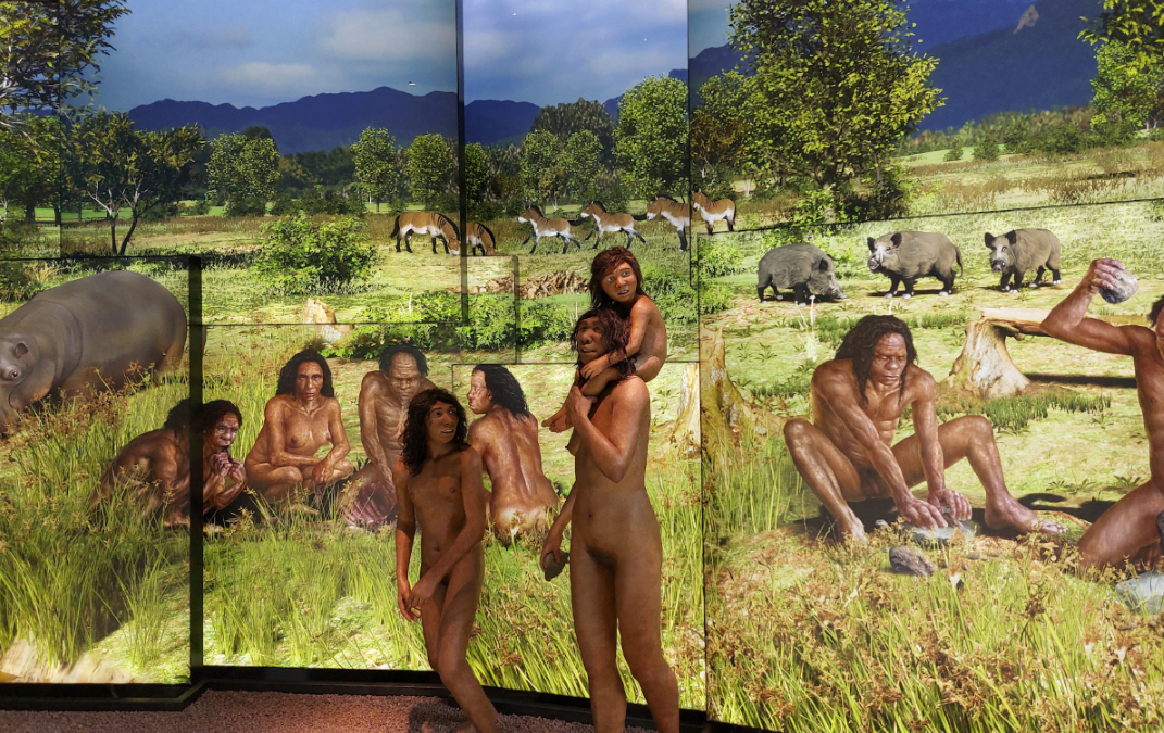 Un viatge al Plistocè.