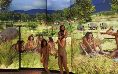 Un viatge al Plistocè.