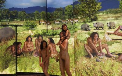 Un viatge al Plistocè.