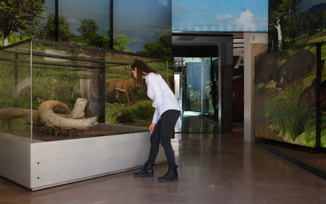 L’Espai Mammuthus celebra el Dia Internacional dels Museus